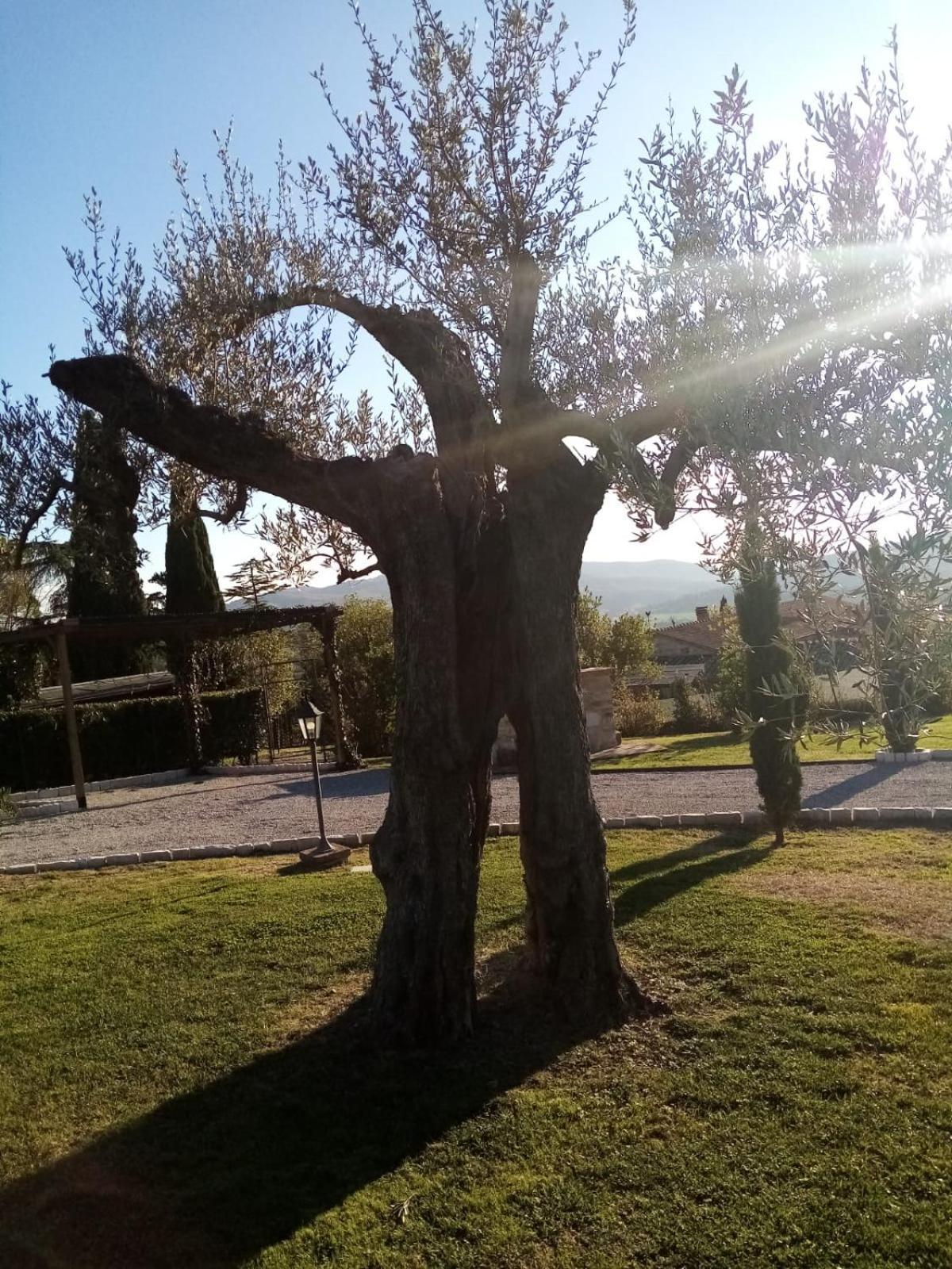 Podere Battegone Villa Maestrello Exterior photo